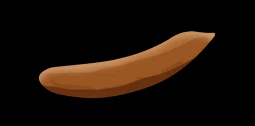Type 4: Smooth and soft sausage
